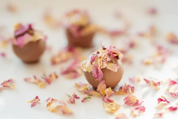 Kaszinó Sun Palace Android/iOS Alkalmazás